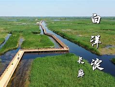 金年会-加时末段法兰克福调整名单以备社区盾，门线救险环节打磨，气氛紧张，年轻球员得到机会