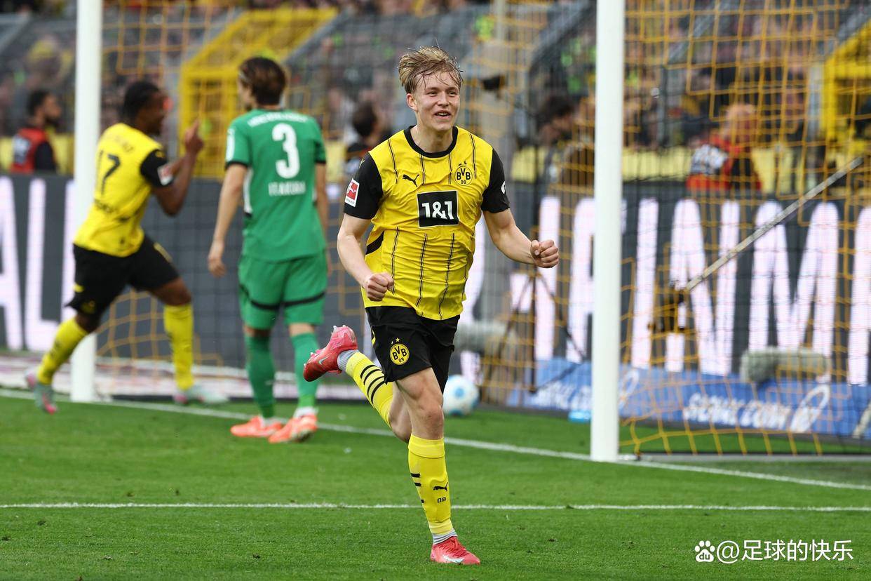 勒沃库森大名单